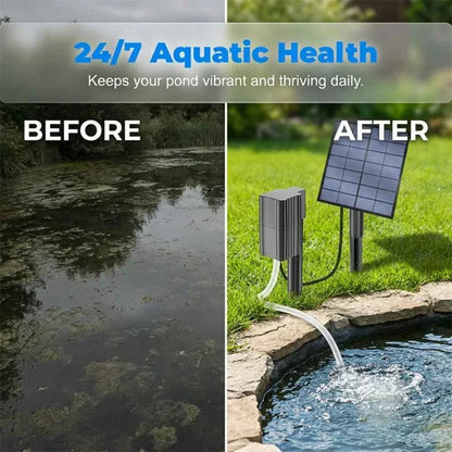 🔥Solar Pond Aerator with Air Pump🐟